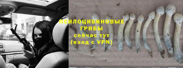 гидра Алексеевка