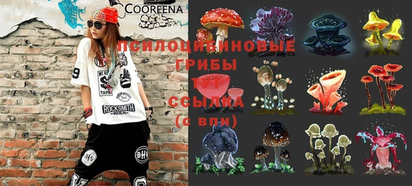 гашик Наволоки