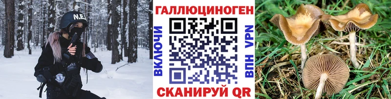Галлюциногенные грибы мицелий  Алзамай 